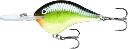 Rapala DT6 Crankbait, Smash product photo from Amazon